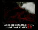 a picture of a cat with the words i love choji so much