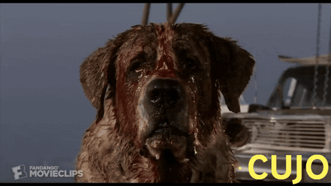 Cujo Stephen King GIF - Cujo Stephen King Devil Dog GIFs