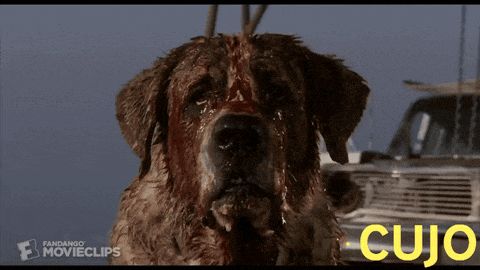a bloody dog with cujo written on the bottom of the screen