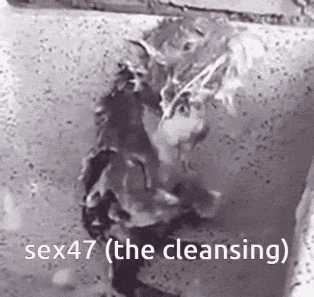 a black and white photo of a cat in a bathtub with the words sex47 ( the cleansing ) above it