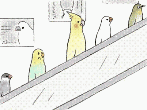 酉年 お正月 あけましておめでとう GIF - Birds Escalator GIFs