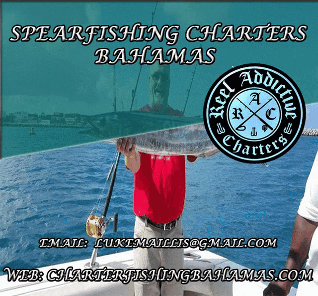 Spearfishing Charters Bahamas Deep Sea Fishing Bahamas GIF