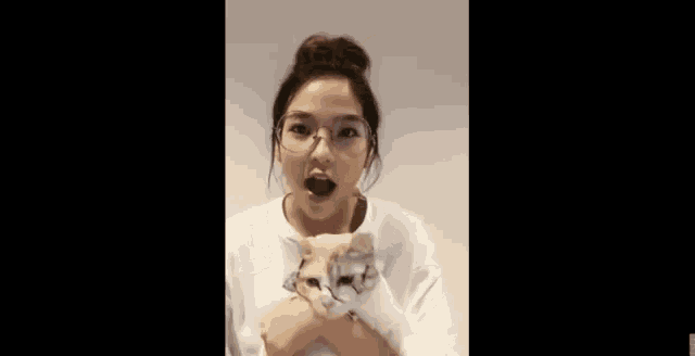 a woman wearing glasses is holding a cat that is wearing glasses .