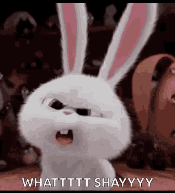 What Shayy What Did You Say GIF - What Shayy What Did You Say Cant Hear You GIFs