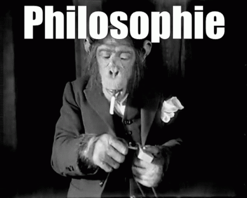 Monkey Philosophe GIF - Monkey Philosophe Singe Philosophe GIFs