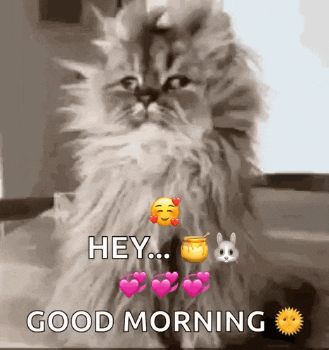 a fluffy cat is sitting on a table with hearts and a honey jar and says `` hey ... good morning '' .