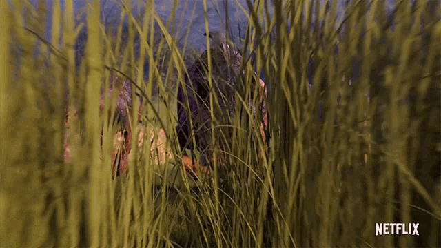 an advertisement for netflix shows a dinosaur peeking out of the grass