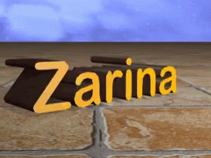 Zarina Wall GIF - Zarina Wall Brick GIFs