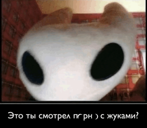 a picture of a stuffed animal with black eyes and the words " это ты смотрел porn "