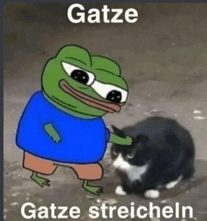 a frog in a blue shirt is petting a black and white cat
