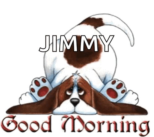 Morning Dog GIF - Morning Dog Good Morning GIFs