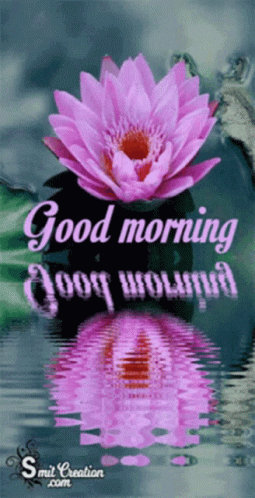 Good Morning Happy Morning GIF - Good Morning Happy Morning Blessed GIFs