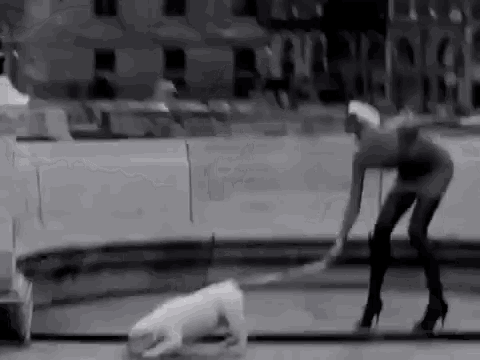 a black and white photo of a woman playing with a dog .
