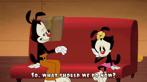 Animaniacs So What Should We Do Now GIF