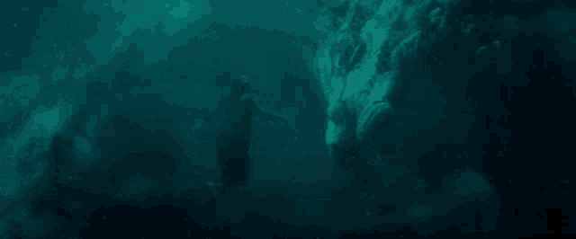 a person is swimming in a dark blue water