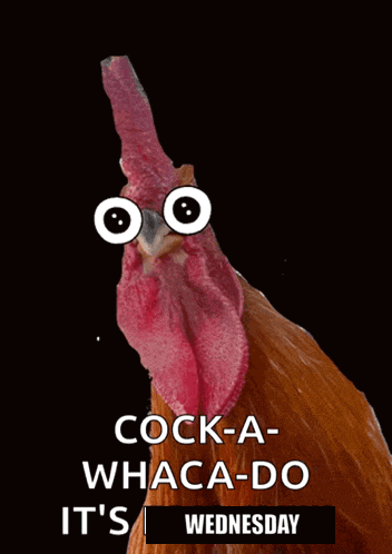 cock-a-whaca-do it 's wednesday written on a black background