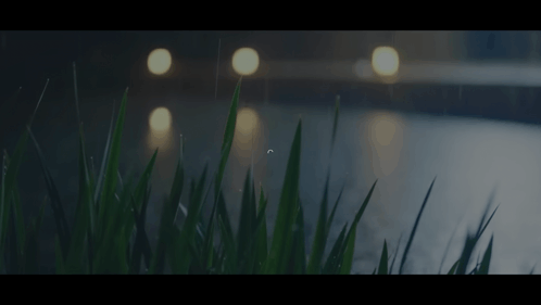 Rainny GIF - Rainny GIFs