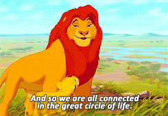 The Great Web GIF - The Great Web GIFs