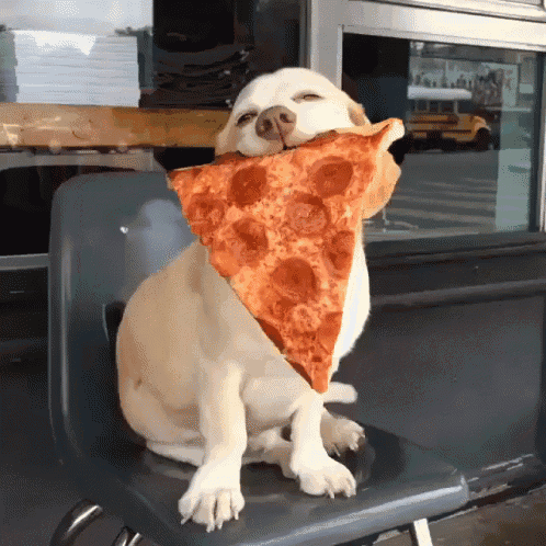 Dog Loves Pizza GIF - Pizza Dog Dogs GIFs