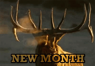New Month Elk GIF - New Month Elk Antlers GIFs