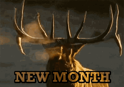 a picture of a deer and the words new month