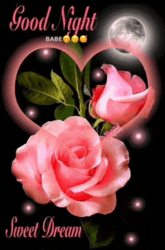 a good night sweet dream card with pink roses and a heart shaped frame