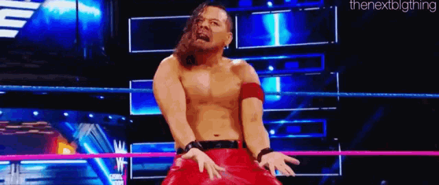 a shirtless wrestler is standing in a wrestling ring with his arms outstretched .
