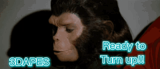 a picture of a monkey with the words " ready to turn up " below it