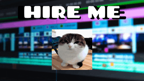 a picture of a cat with the words " hire me " behind it