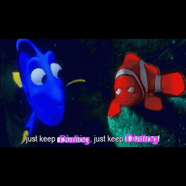 dory and clown fish from the movie finding dory are talking to each other