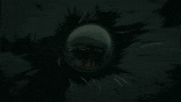 a close up of a person 's face with a shadow on it