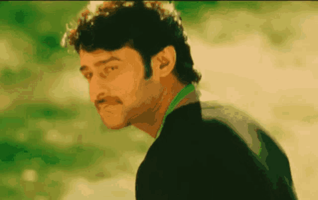 a man with a mustache is wearing a green shirt