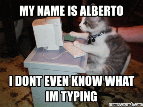 Alberto My Name Is Alberto GIF - Alberto My Name Is Alberto Typing GIFs