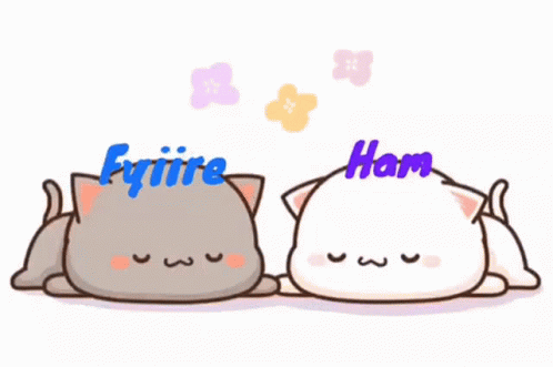 Fyiires Stuff Cat GIF - Fyiires Stuff Cat GIFs