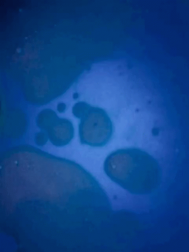 Microscope Blue GIF - Microscope Blue Close Up GIFs
