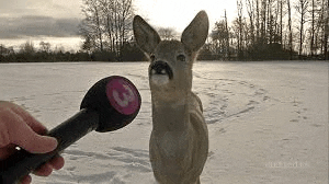 a deer with a mustache is standing in the snow next to a microphone .