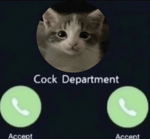 a picture of a cat with the words cock department written above it