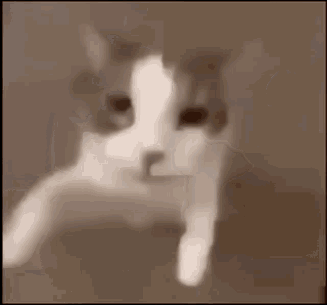 Hayato Gif Cat GIF - Hayato Gif Cat Kiss GIFs