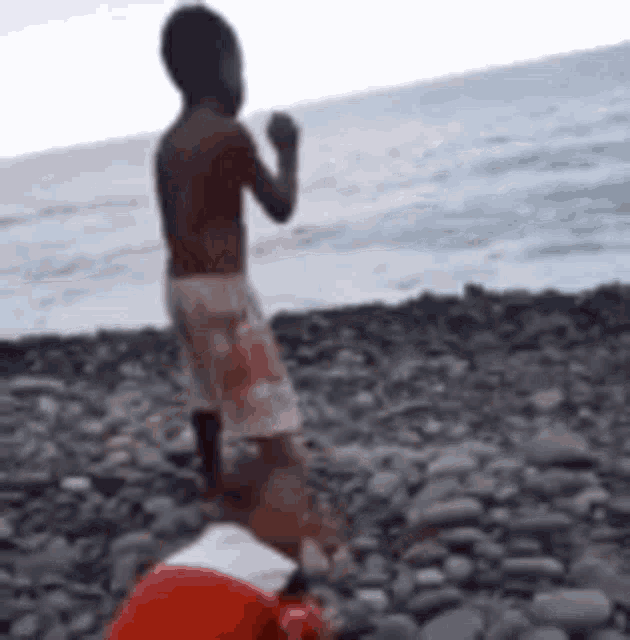 a boy is standing on a rocky beach next to a man in a santa hat .