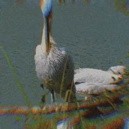 a pelican is sitting on a rock in the water