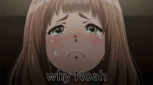 Why Noah GIF - Why Noah GIFs