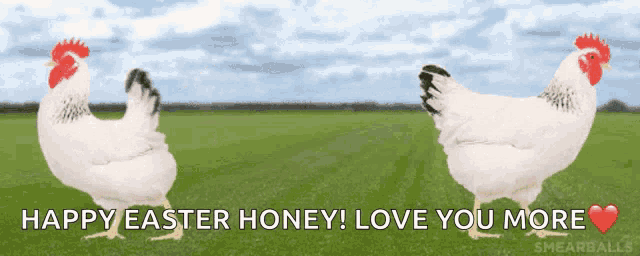 two white chickens are standing in a field with the words happy easter honey love you more