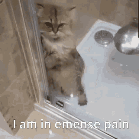 Emense-pain Cat-shower GIF - Emense-pain Cat-shower GIFs