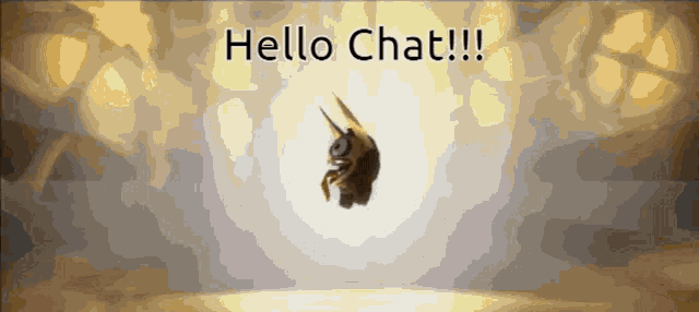a picture of a unicorn with the words hello chat written on it