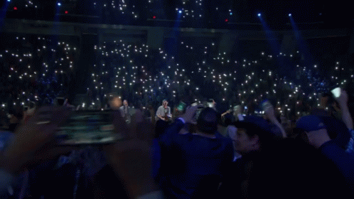 Crowd Audience GIF - Crowd Audience Cheering GIFs