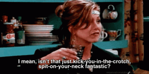 Friends Rachel GIF