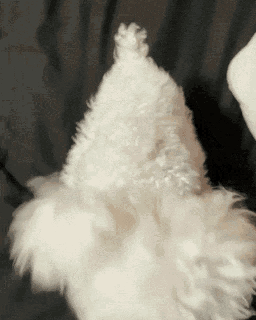 a close up of a white stuffed animal 's tail
