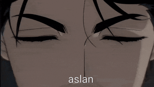 a close up of a man 's face with the word aslan written below it