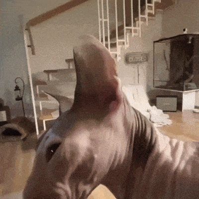 a hairless cat in a living room with a sign that says closed