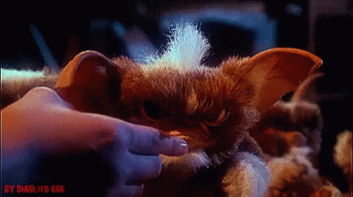 Gizmo Gremlins GIF - Gizmo Gremlins Angry GIFs